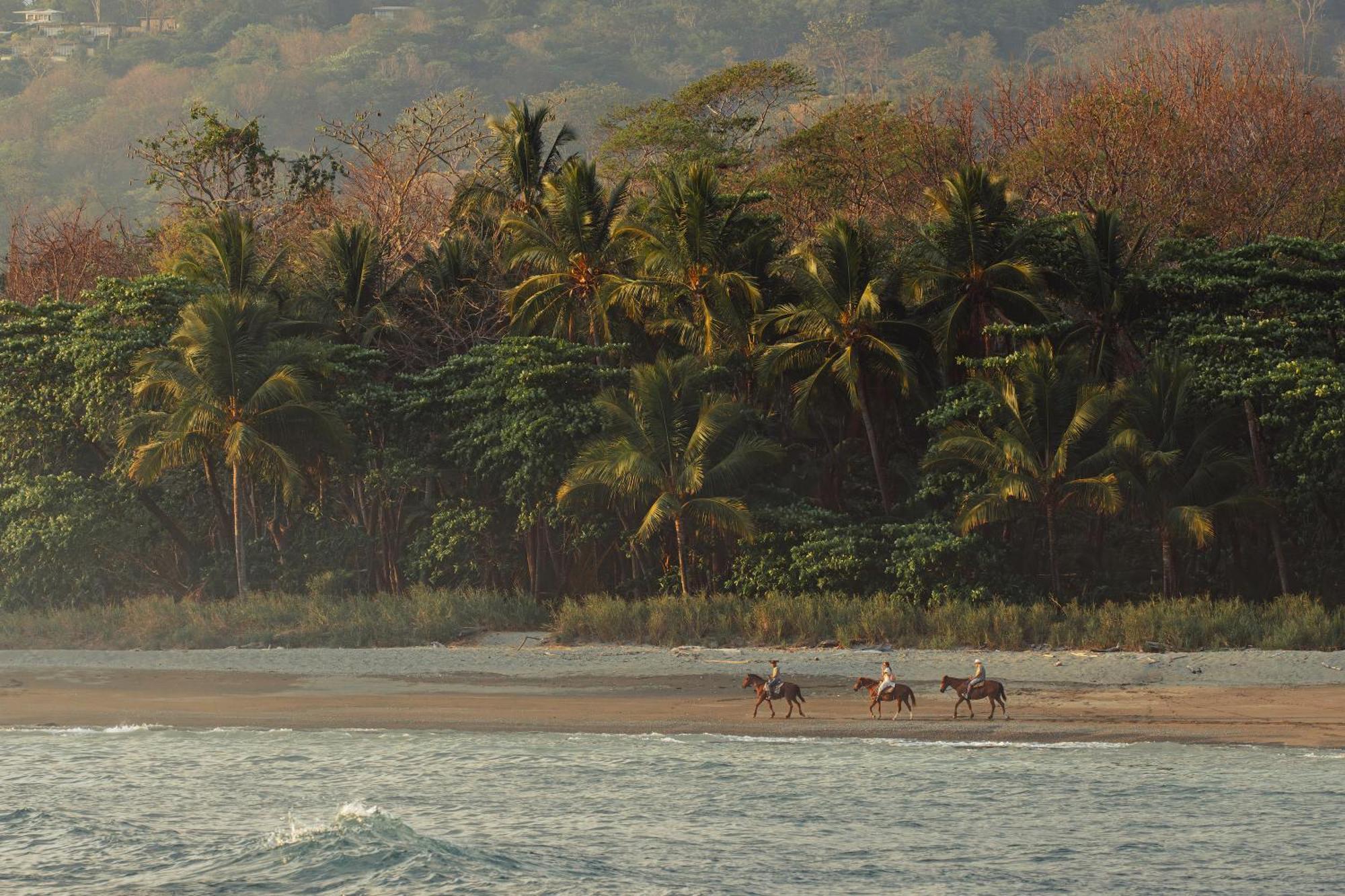 Hotel Santa Teresa By The Beach Playa Santa Teresa  Экстерьер фото
